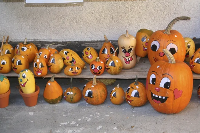 Framed Print : Painted Pumpkins Cucurbita Print Framed Print : Painted Pumpkins Cucurbita Print