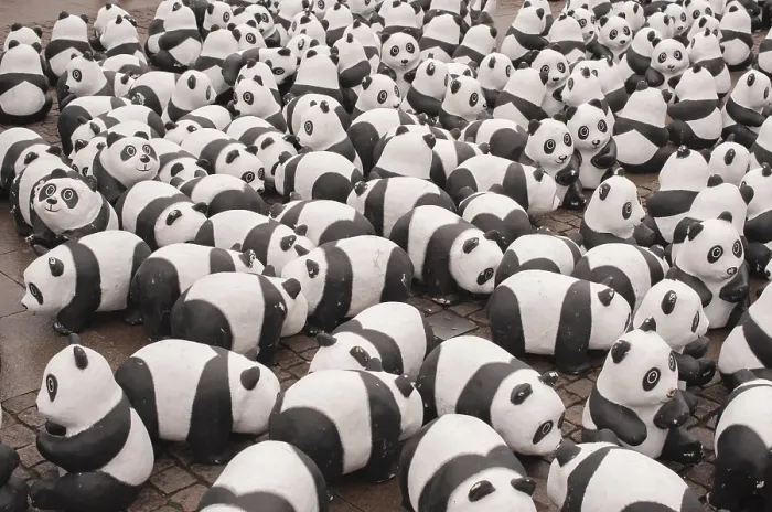 Framed Print : Panda Bear Print from imageBROKER Framed Print : Panda Bear Print from imageBROKER