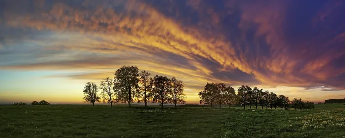 Framed Print : Panorama Print: Trees Approached by Cloud Front Framed Print : Panorama Print: Trees Approached by Cloud Front