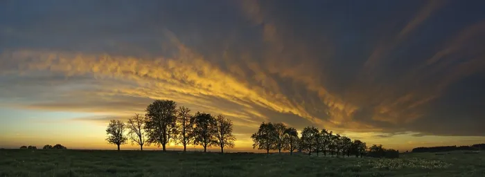 Framed Print : Panorama Print: Trees and Cloud Front Framed Print : Panorama Print: Trees and Cloud Front