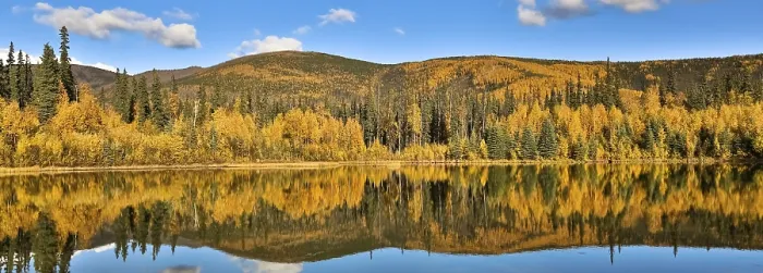 Framed Print : Panoramic Lake Print, Chena River State Park, Alaska Framed Print : Panoramic Lake Print, Chena River State Park, Alaska
