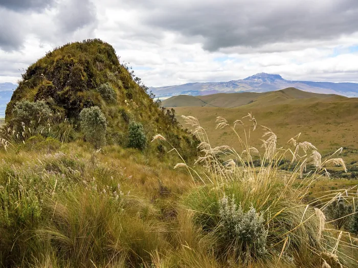 Framed Print : Pasochoa Paramo Landscape Print, Ecuador Framed Print : Pasochoa Paramo Landscape Print, Ecuador