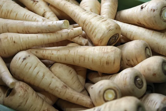 Framed Print : Parsnips Print by ImageBROKER Framed Print : Parsnips Print by ImageBROKER