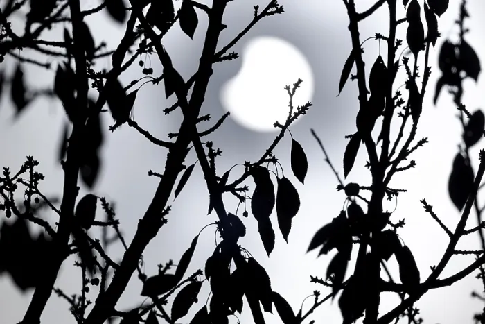 Framed Print : Partial Solar Eclipse Print, Allensbach, Germany, 25.10.2022 Framed Print : Partial Solar Eclipse Print, Allensbach, Germany, 25.10.2022