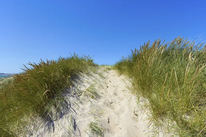 Framed Print : Path through Dunes to the Beach Print, Klittmoller, Denmark Framed Print : Path through Dunes to the Beach Print, Klittmoller, Denmark