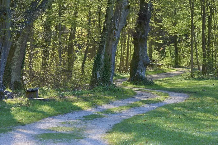 Framed Print : Path and Park in Amorbach, Germany Print Framed Print : Path and Park in Amorbach, Germany Print