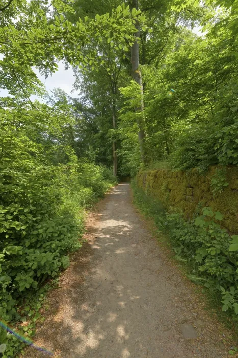 Framed Print : Path in Spring Print, Neckarsteinach, Germany Framed Print : Path in Spring Print, Neckarsteinach, Germany