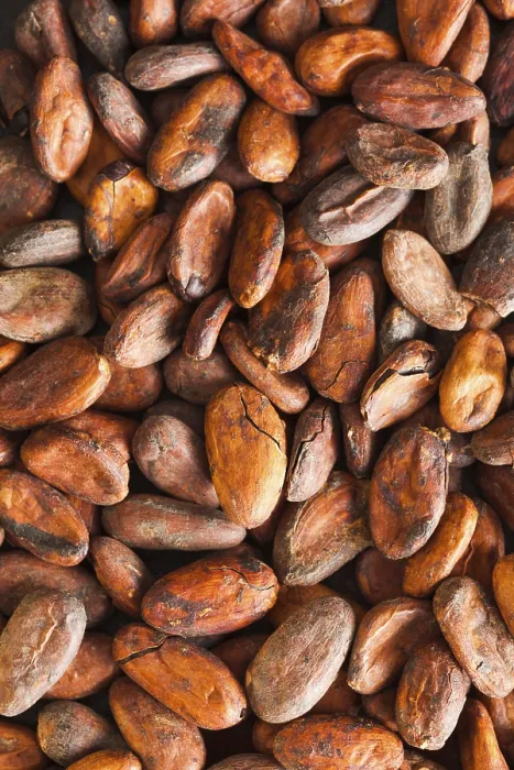 Framed Print : Cocoa Beans Background Print, Top View Framed Print : Cocoa Beans Background Print, Top View