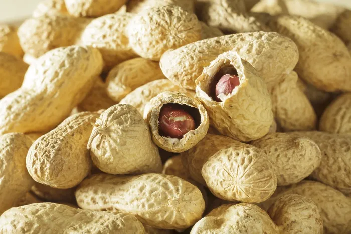 Framed Print : Peanuts in Shells Print Framed Print : Peanuts in Shells Print