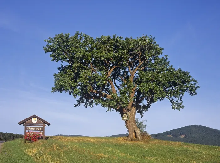 Framed Print : Pear Tree and Wayside Shrine Print, Triestingtal, Austria