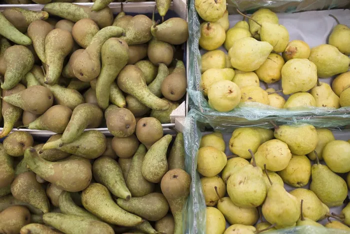 Framed Print : Pears on the Counter Store Print Framed Print : Pears on the Counter Store Print