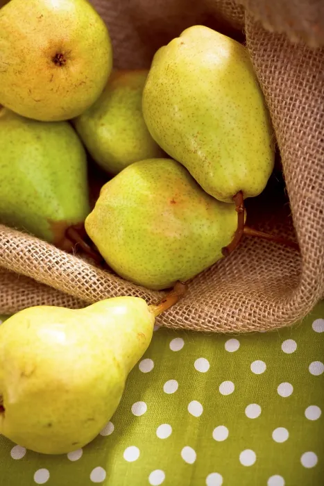 Framed Print : Still Life: Pears on a Table Print Framed Print : Still Life: Pears on a Table Print