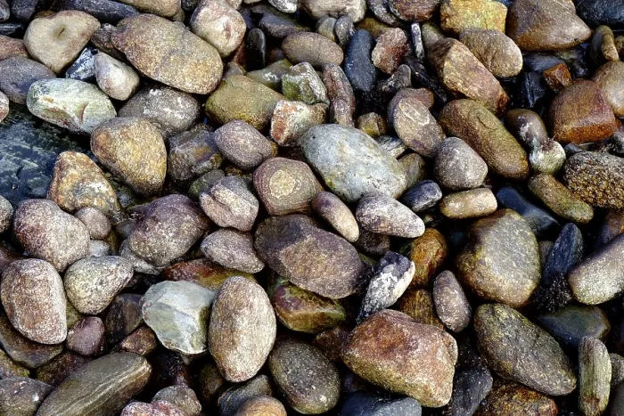 Framed Print : Pebbles Print by imageBROKER Framed Print : Pebbles Print by imageBROKER