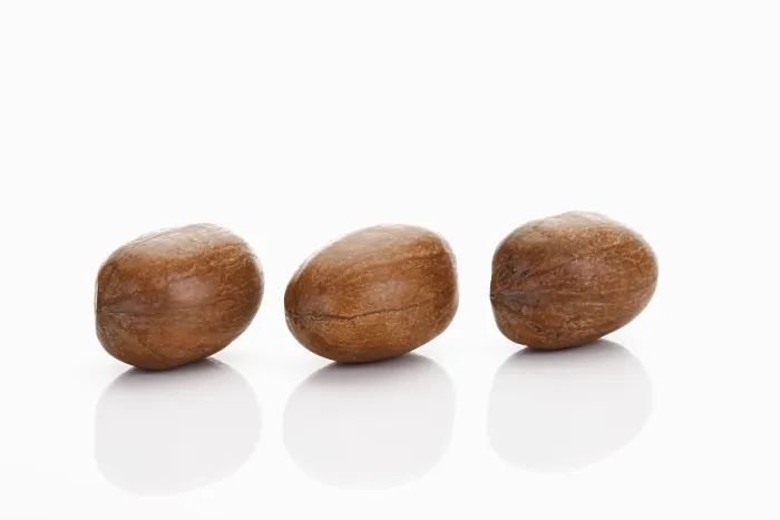 Framed Print : Three Pecan Nuts Print Framed Print : Three Pecan Nuts Print