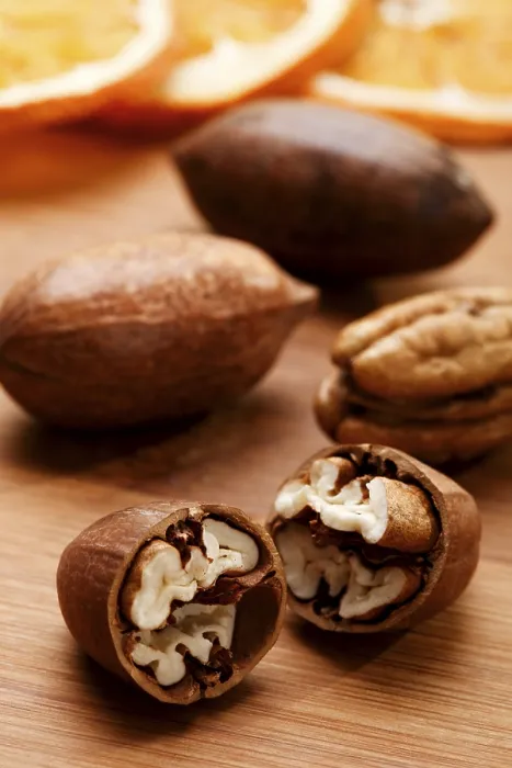 Framed Print : Pecan Nuts Print Framed Print : Pecan Nuts Print