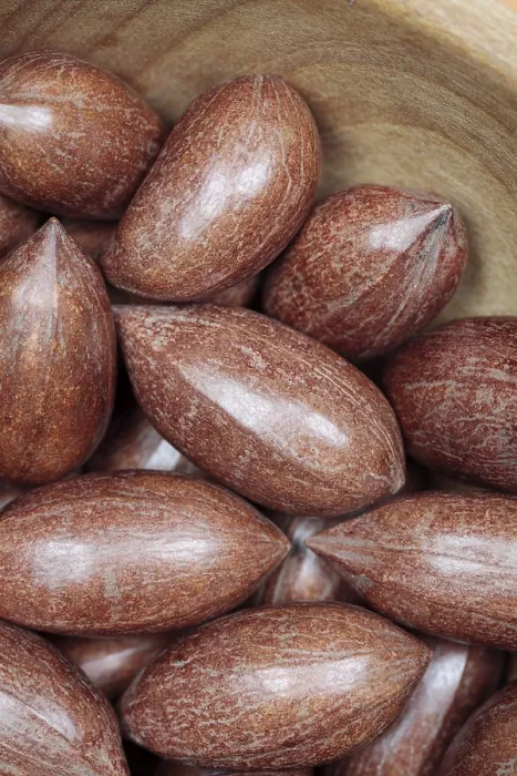 Framed Print : Pecan Nuts Print Framed Print : Pecan Nuts Print
