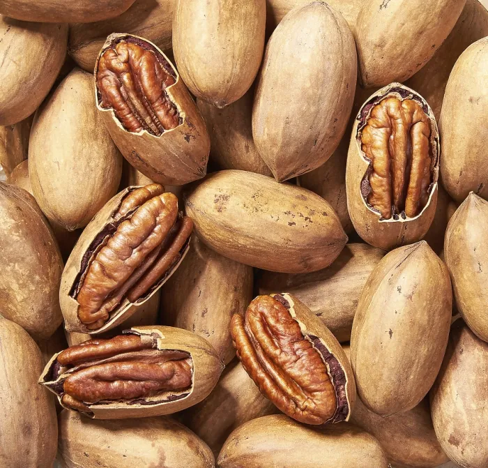 Framed Print : Pecans Print - View from Above Framed Print : Pecans Print - View from Above