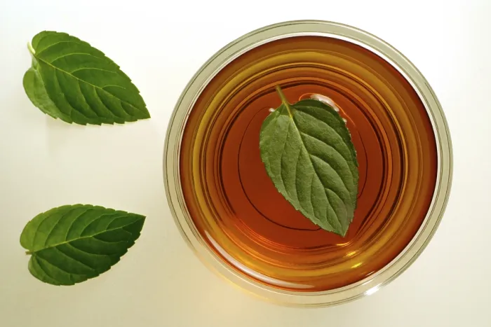 Framed Print : Peppermint Tea Print Framed Print : Peppermint Tea Print