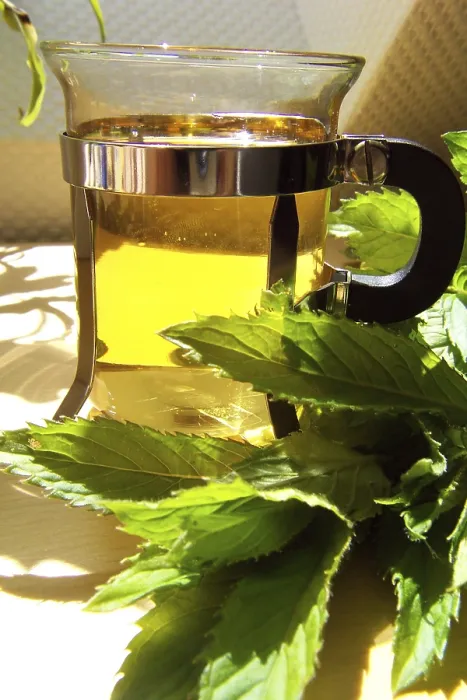 Framed Print : Peppermint Tea Print Framed Print : Peppermint Tea Print