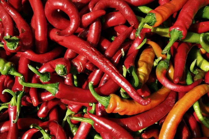 Framed Print : Peppers Print, Close-up of Red Peppers Framed Print : Peppers Print, Close-up of Red Peppers