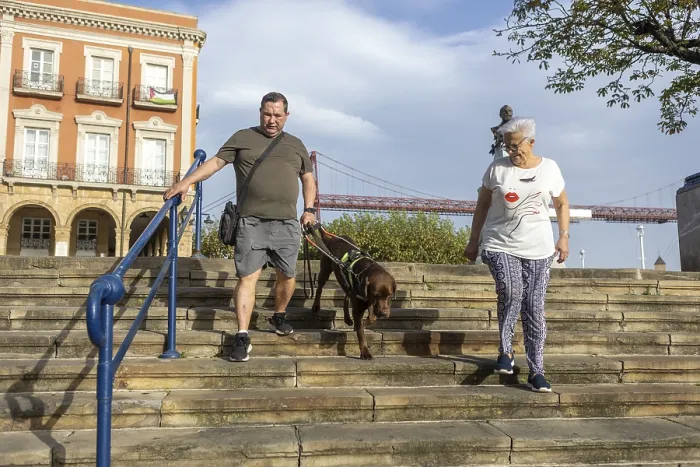 Framed Print : 'Two Persons with Guide Dog Descend City Steps' Print Framed Print : 'Two Persons with Guide Dog Descend City Steps' Print