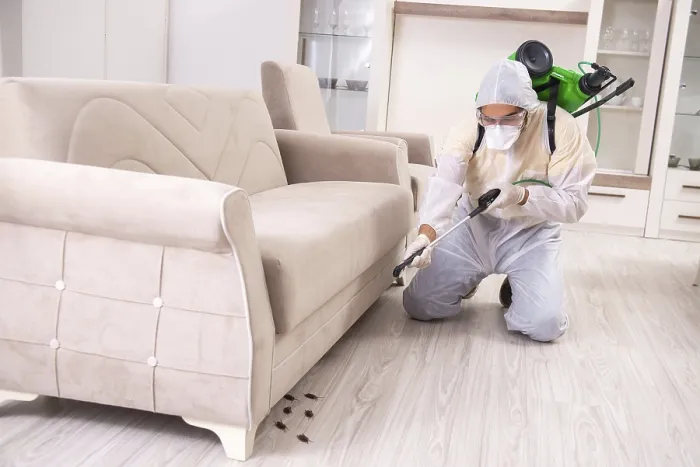 Framed Print : Pest Control Contractor Working in a Flat Print Framed Print : Pest Control Contractor Working in a Flat Print