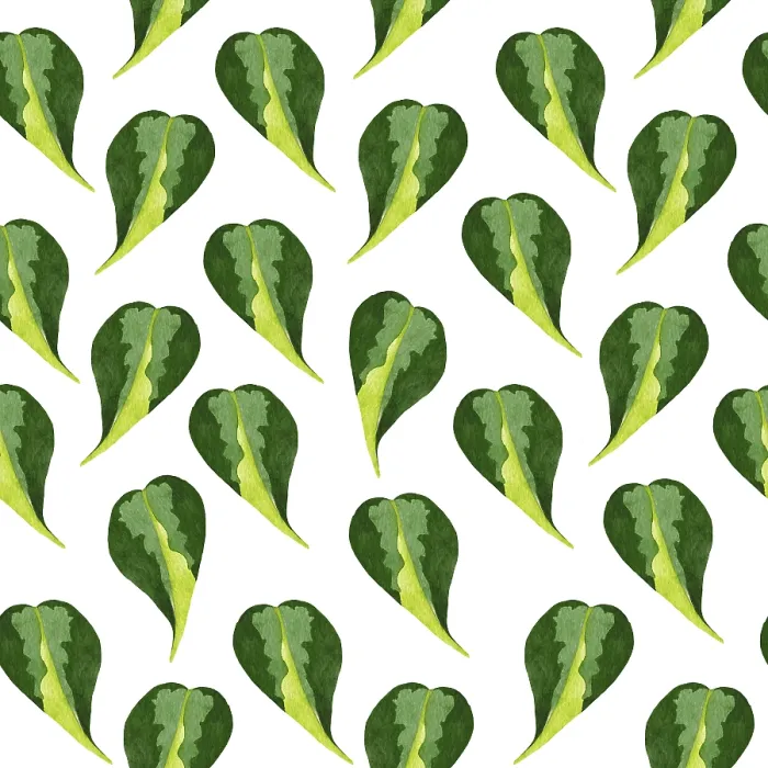 Framed Print : Philodendron Seamless Print Framed Print : Philodendron Seamless Print