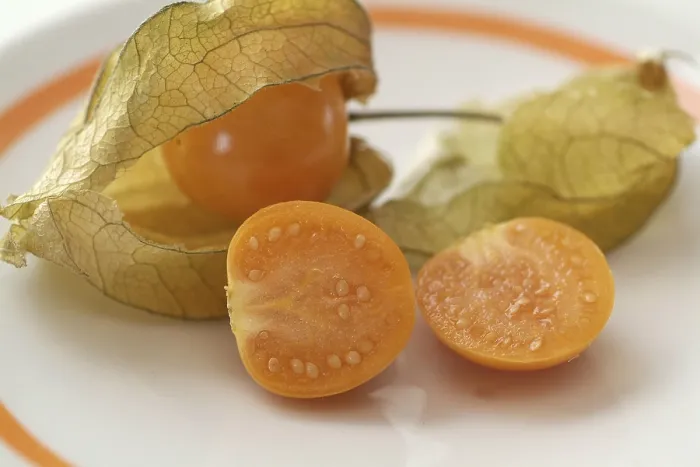 Framed Print : Physalis Physalis Print - Tropical Fruit