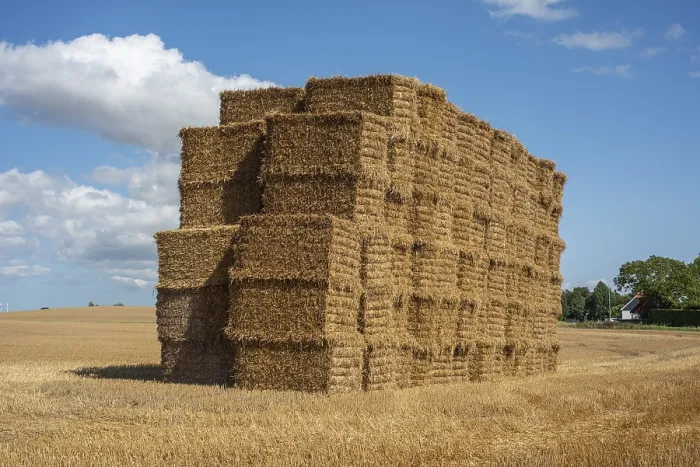 Framed Print : Ystad Straw Bales Print, Sweden Framed Print : Ystad Straw Bales Print, Sweden
