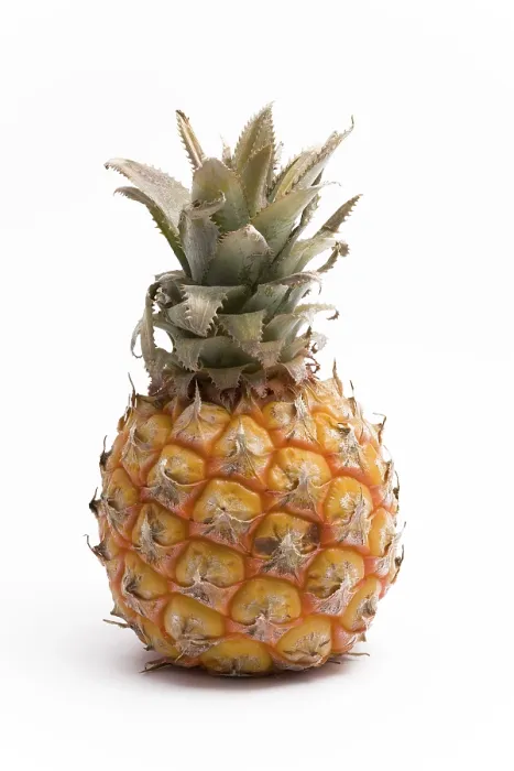 Framed Print : Pineapple Pineapple Print by imageBROKER Framed Print : Pineapple Pineapple Print by imageBROKER