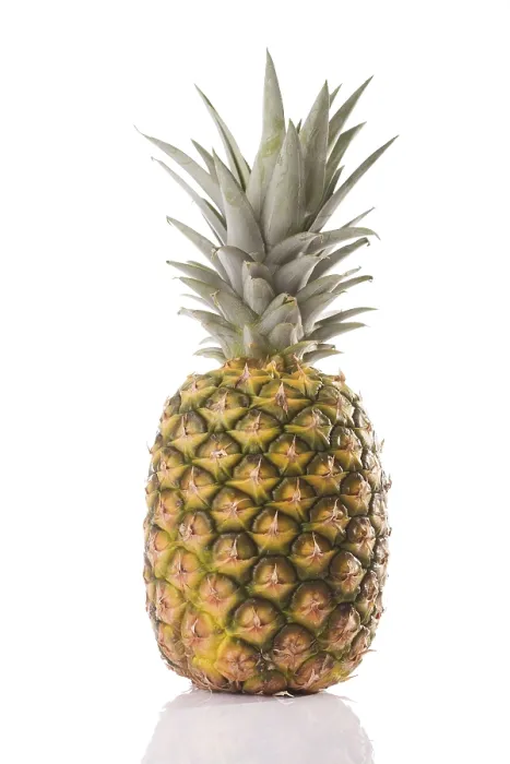 Framed Print : Pineapple Print by ImageBROKER Framed Print : Pineapple Print by ImageBROKER