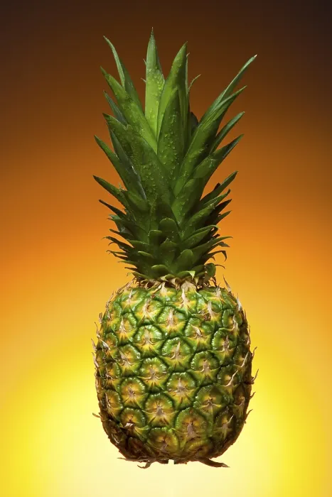 Framed Print : Pineapple Print by ImageBROKER Framed Print : Pineapple Print by ImageBROKER