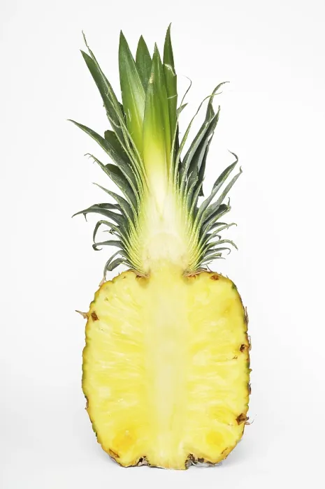 Framed Print : Cut-open Pineapple Print (Ananas comosus) Framed Print : Cut-open Pineapple Print (Ananas comosus)