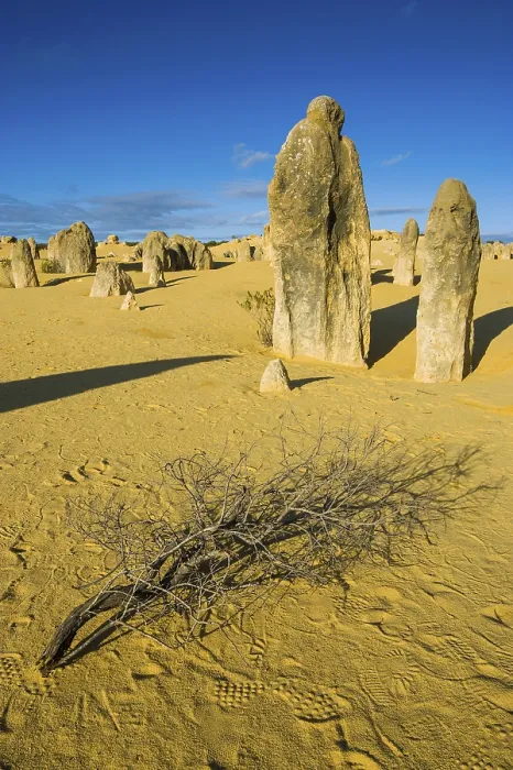 Framed Print : The Pinnacles, Nambung National Park Print