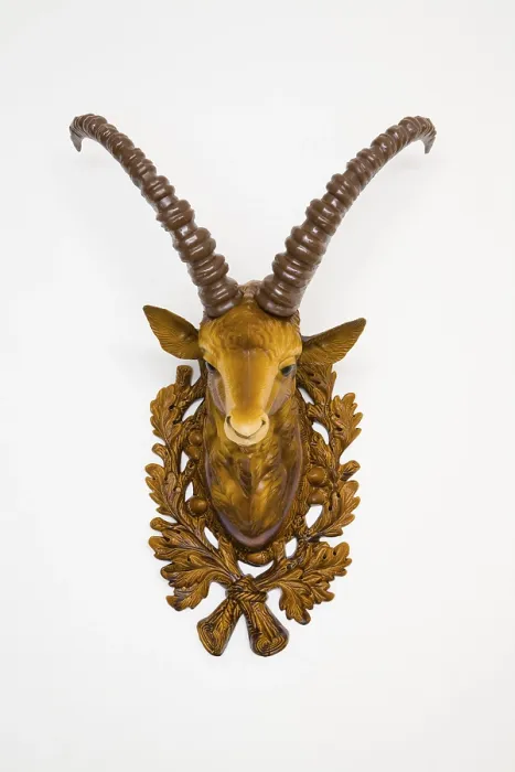 Framed Print : Print of Ibex Head in Frontal View
