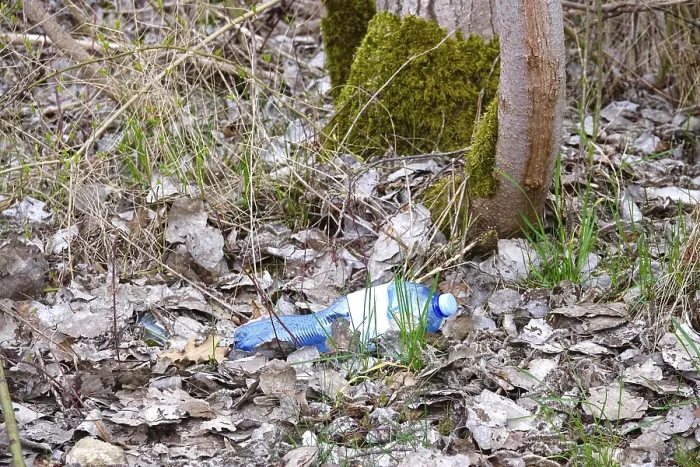 Framed Print : Plastic Waste in German Forest Print Framed Print : Plastic Waste in German Forest Print