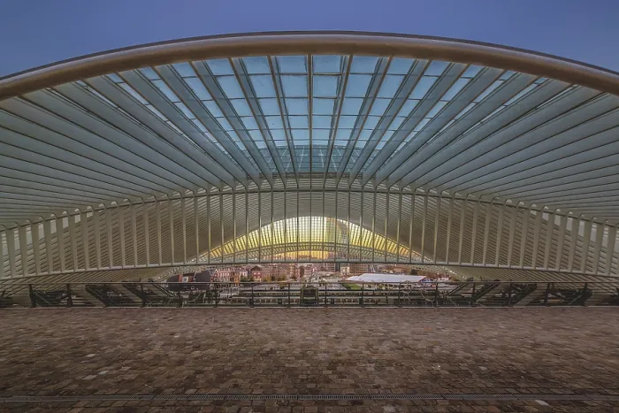Framed Print : Liege-Guillemins Station Print, Belgium
