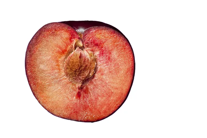 Framed Print : Plum Plum Print by ImageBROKER Framed Print : Plum Plum Print by ImageBROKER