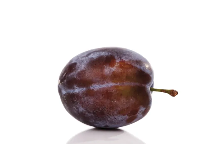 Framed Print : Plum Plum Print by imageBROKER Framed Print : Plum Plum Print by imageBROKER