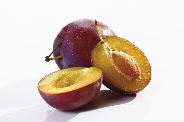 Framed Print : Plums Plums Print by ImageBROKER Framed Print : Plums Plums Print by ImageBROKER