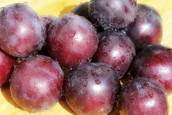 Framed Print : Plums and Damsons Print Framed Print : Plums and Damsons Print