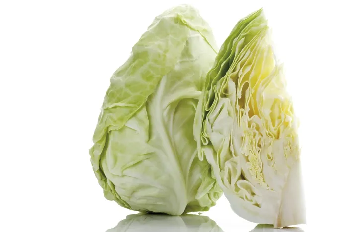 Framed Print : Pointed Cabbage Print, Whole and Quartered Head Framed Print : Pointed Cabbage Print, Whole and Quartered Head