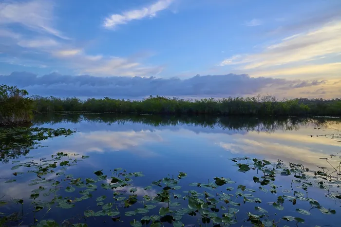 Framed Print : Evening Reflections Print, Everglades National Park, Florida Framed Print : Evening Reflections Print, Everglades National Park, Florida