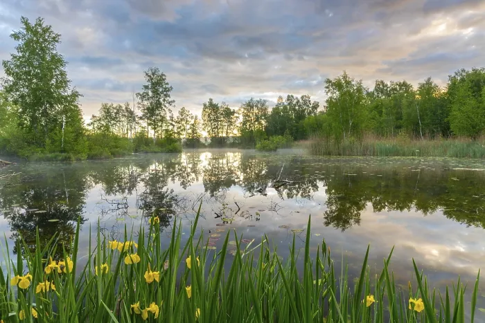 Framed Print : Pond with Reflections Print - Moor Landscape at Dusk