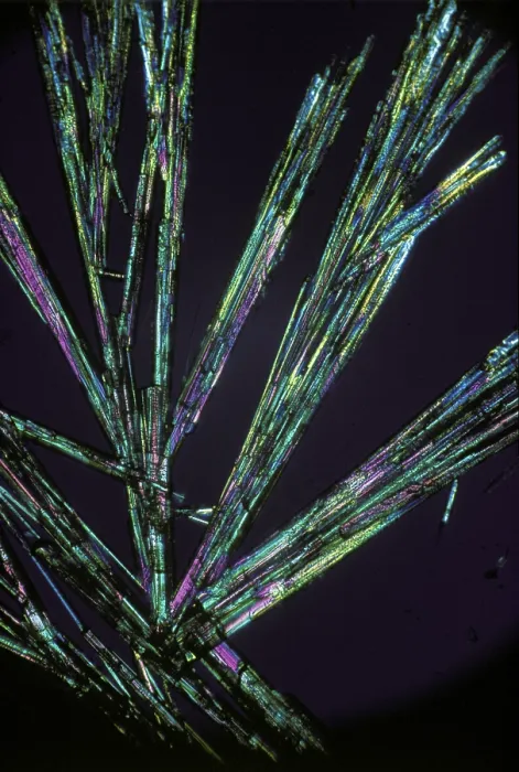 Framed Print : Potassium Phosphate Crystal Microstructure Print Framed Print : Potassium Phosphate Crystal Microstructure Print