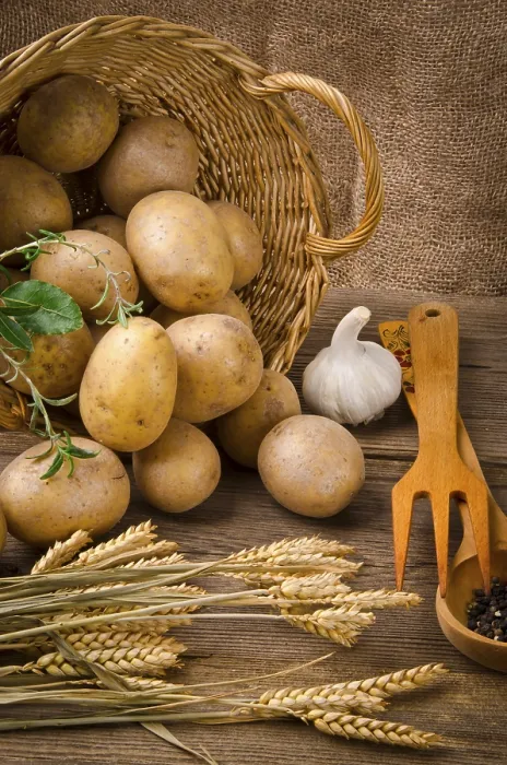 Framed Print : Potato Print by ImageBROKER Framed Print : Potato Print by ImageBROKER