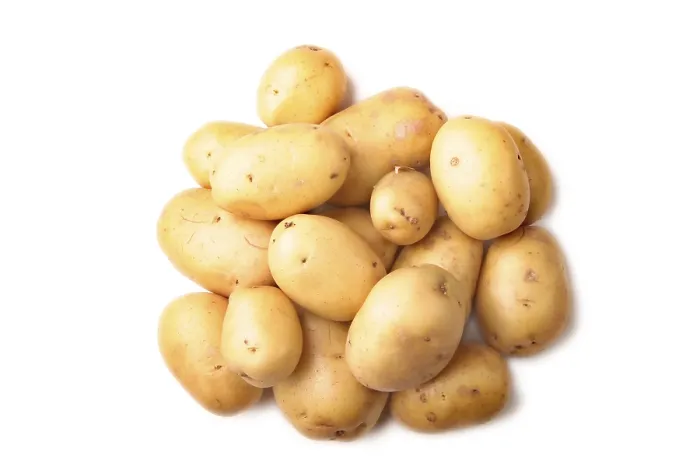 Framed Print : Potatoes Potatoes Print by Paul Klee Framed Print : Potatoes Potatoes Print by Paul Klee