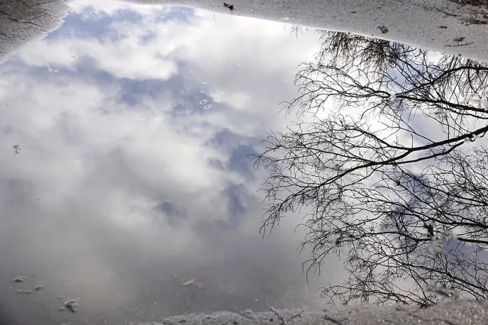 Framed Print : Winter Puddle Reflection Print, Germany Framed Print : Winter Puddle Reflection Print, Germany