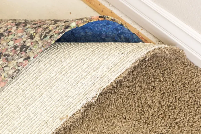 Framed Print : Pulled Back Carpet and Underlay Print