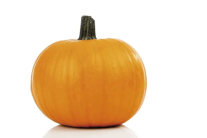 Framed Print : Pumpkin Print by imageBROKER Framed Print : Pumpkin Print by imageBROKER